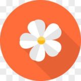 花花免费全球机器人