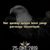Zakaz mp3