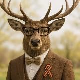 Одинцово Оперативно ⚡️