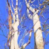 Вероника Лобарева - живопись & графика