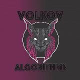 Алгоритмы Дмитрия Волкова