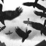 архив//могила недосказанных слов