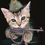 Пишет Бойцовый кот Мурз (kenigtiger)