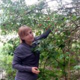 Помощь от природы✨