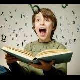 Biblioteca Wonderboy 2.0