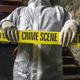 Crime Scene