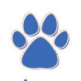 Фонд Александра Дрима 🐶