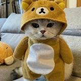 Дебатная Говорильня