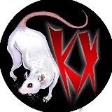 KHVOST🐀