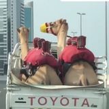 Подслушано в пустыне