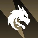 Team Spirit PUBG MOBILE