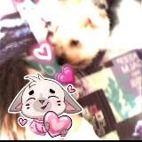 Ушастик-Юна🐾