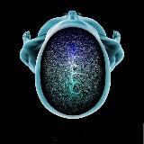 Radiology Pro 🎓 Channel Рентгенология