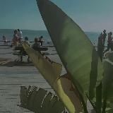 ШАБЛОНЫ CapCut и VN + Reels 🎥