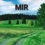 Чат Meadows In Run