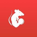 GymRats - спорт и здоровье