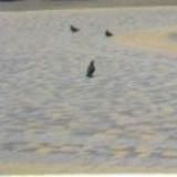 Брусчатка на Казачьей площади