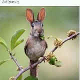 Юмор, твоё настроение на день 😂