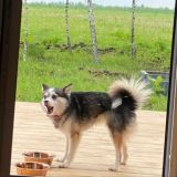 Людмила, зачем. Chat