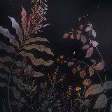 Анна Кавалли и вымышленные человечки