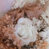 *:.。. 𝐛𝐥𝐨𝐠𝐬𝐡𝐨𝐩𝐬𝐭𝐞𝐚𝐥𝐬 ♡🦋🤍