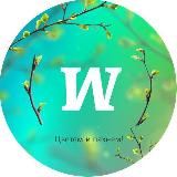 Квиз Мозгва