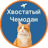 Хвостатый чемодан | Перевозка животных