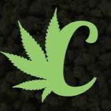 РастаСанаторий🌴🤙