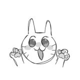 котята общаются