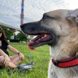 (K&K) Kira & Kroshka SuperGav