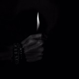 Дневник Самурая