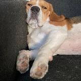 нктн печатает