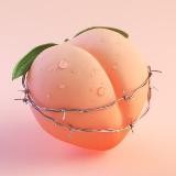 Персиковый Приватник💦