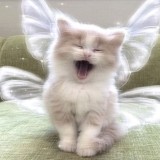 𝙶𝚘𝚛𝚢𝚊𝚌𝚑𝚒𝚓 𝚕𝚊𝚝𝚝𝚎☕️