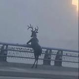 философия кринжа 💨