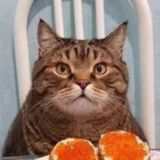 ༻꫞ у҉г҉о҉л҉о҉к҉ ж҉и҉з҉н҉и҉꫞༺