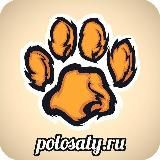 «Полосатый рейс» турагентство Иваново / выгодные туры