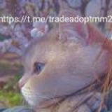 TRADE | MM2 | ADOPT ME