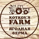 Kotkov’s farm