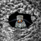 Дырка в папахе