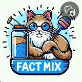 Fact Mix