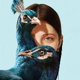 ДЕНЬГИ • ПРОДАЖИ • ЛИЧНОСТЬ | коуч по выходу в 1млн +