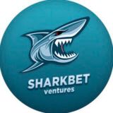SharkBet | Анализ матчей