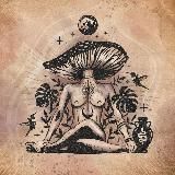 🍄 Amanita Germania 🍄 - Fliegenpilz Deutschland