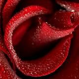 ЖИВИ. ЛЮБИ 🙏❤️