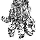 “Summoning” photo