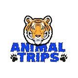 Доставка животных Animal Trips