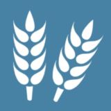 Чат I Семена и растения