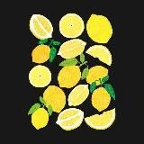 LEMON_Opt