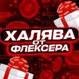 ФЛЕКСЕР | Dragon Money & ZOOMA